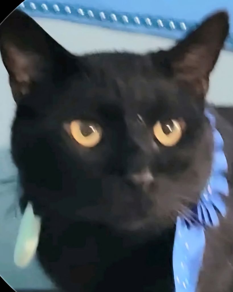 Hershey Gates Profile Photo