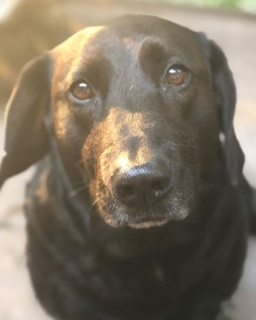 Fumble Harwood Profile Photo