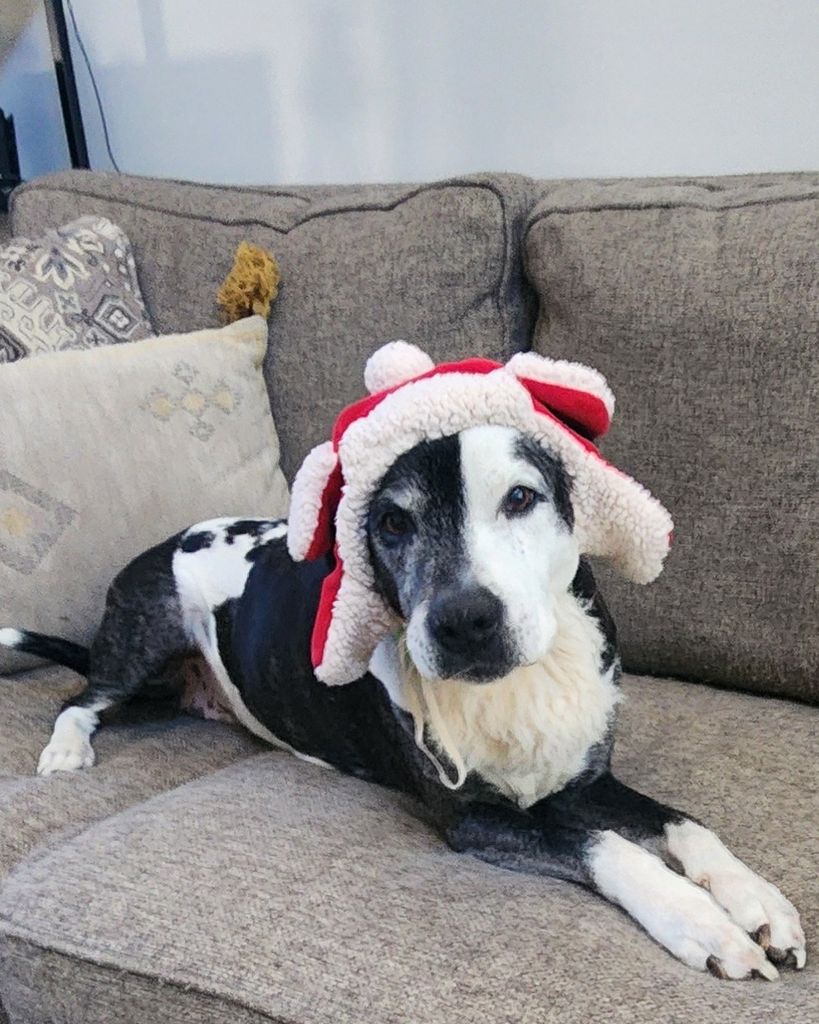 RoxY Linley Profile Photo