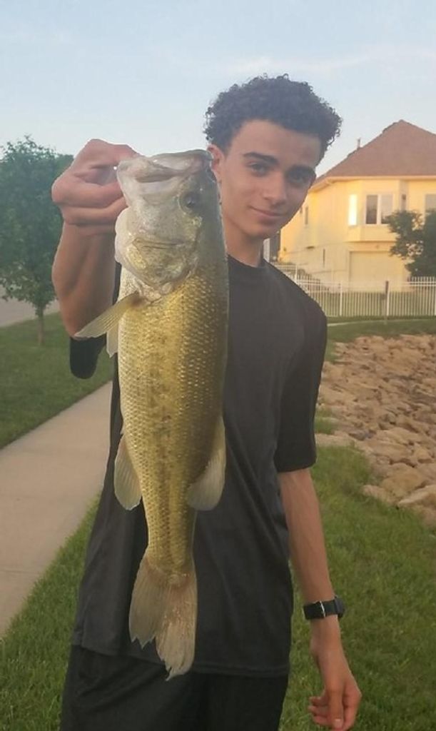 Nathan Vincent Miller