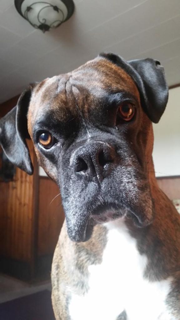 Sarge Fisher Profile Photo