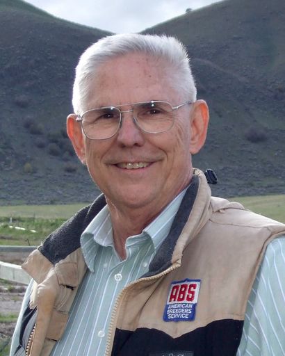 Bill Mahaffey Profile Photo