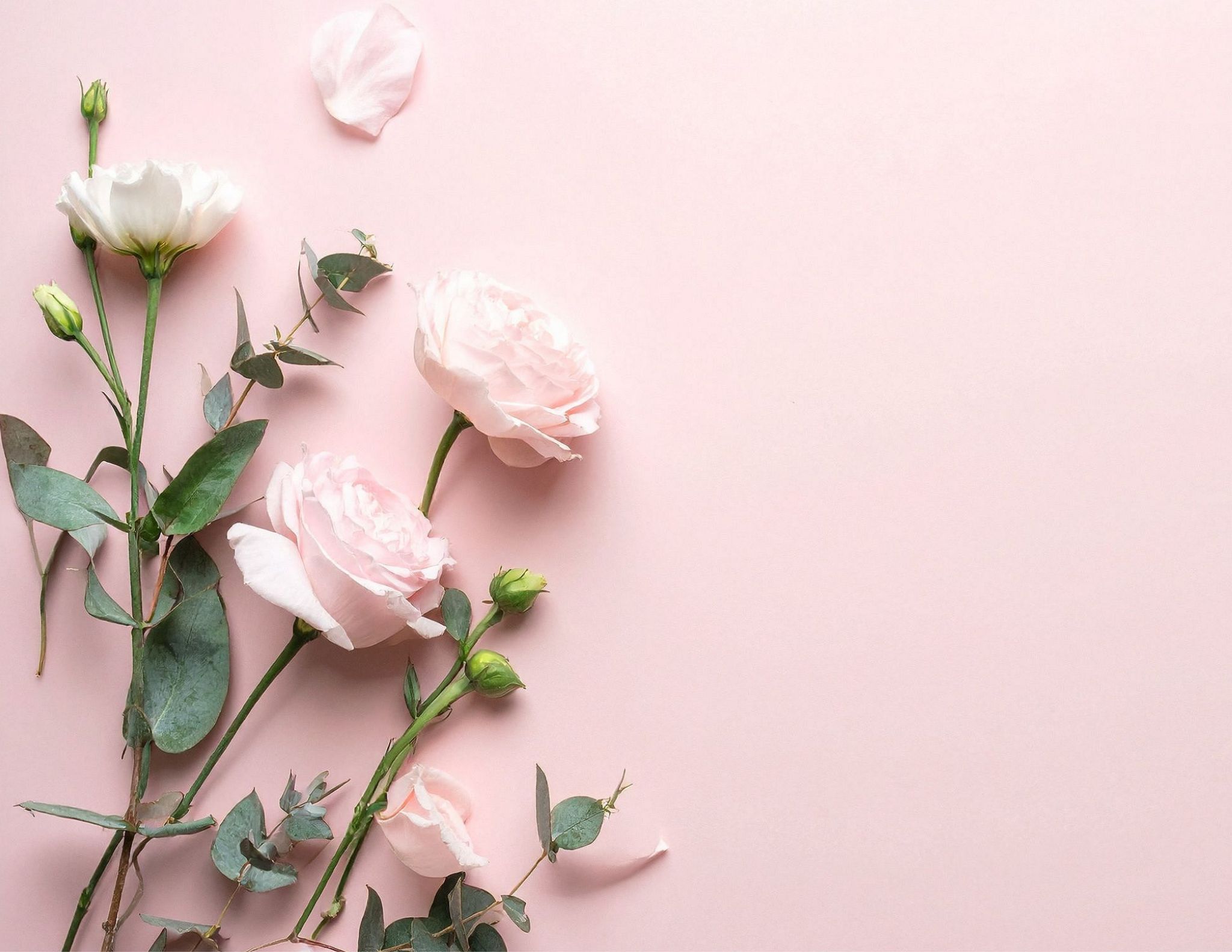 Cover for Denise Marie Price's Obituary