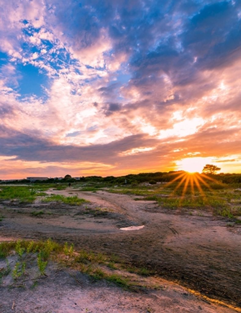 Donald Ervin Williams