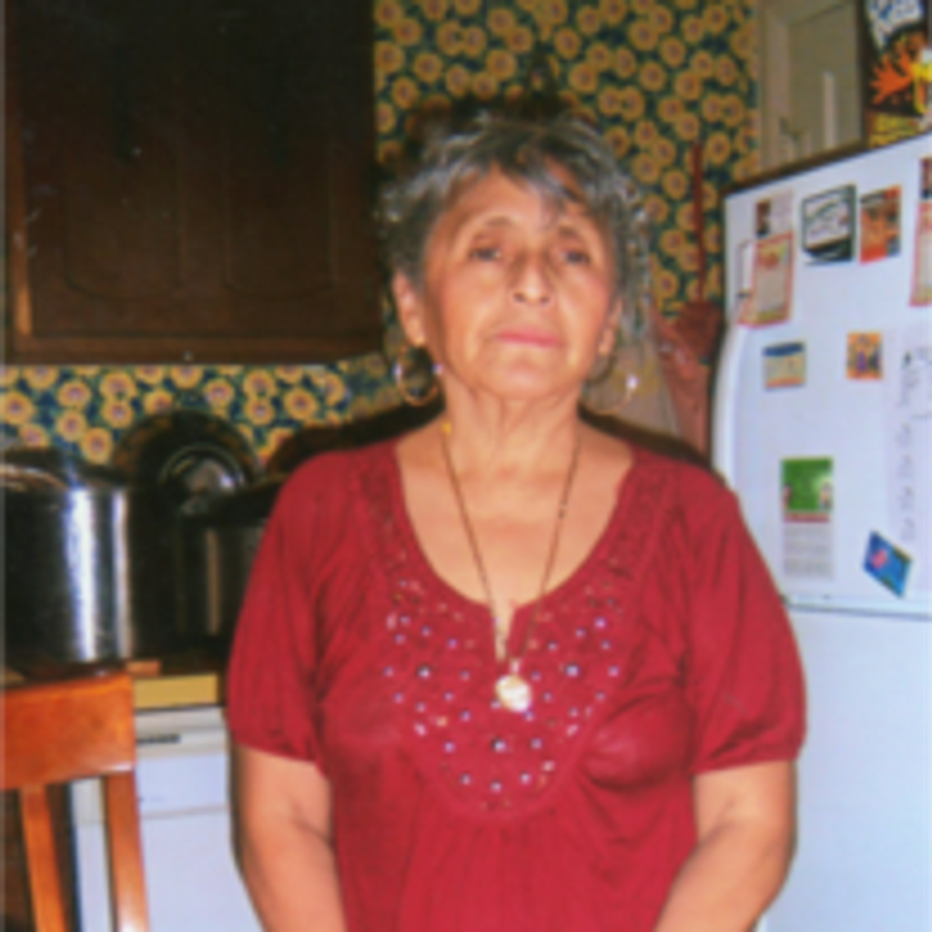 Elva Silvia Alejandro-Hernandez