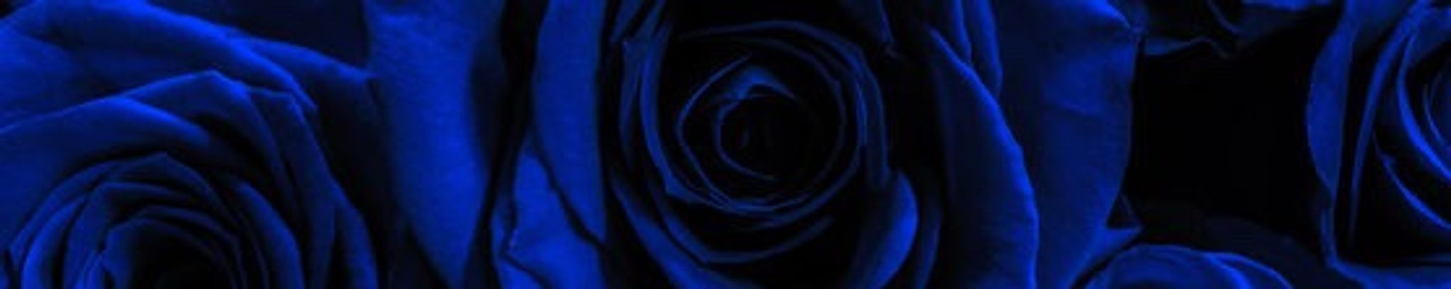 Cover photo for Tehryn N. Jones's Obituary