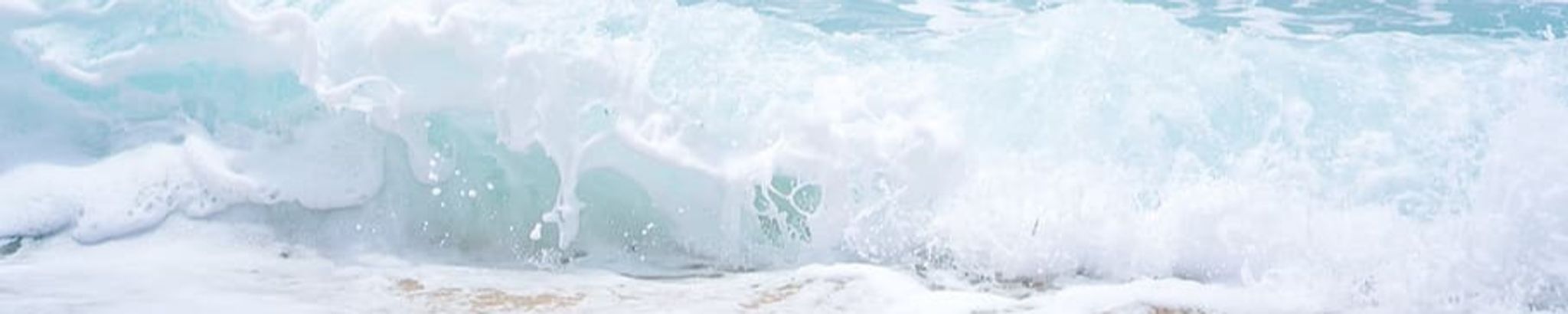 Cover photo for Polly Anne Rippeon's Obituary