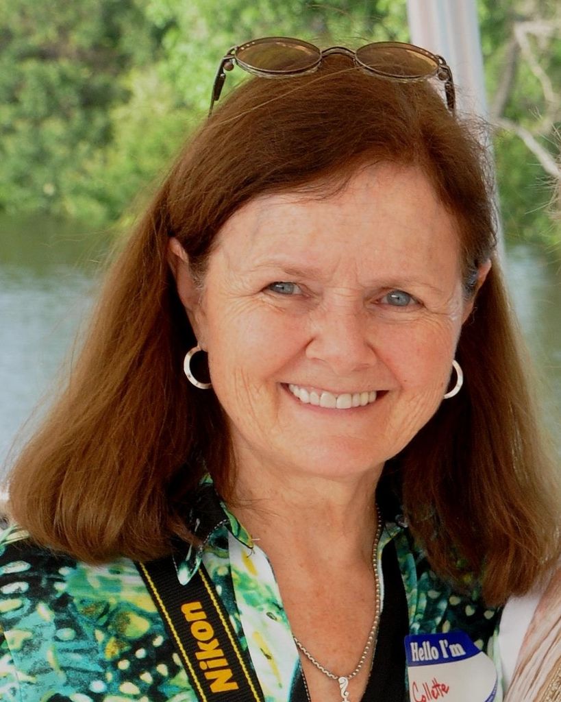 Collette Morrissey