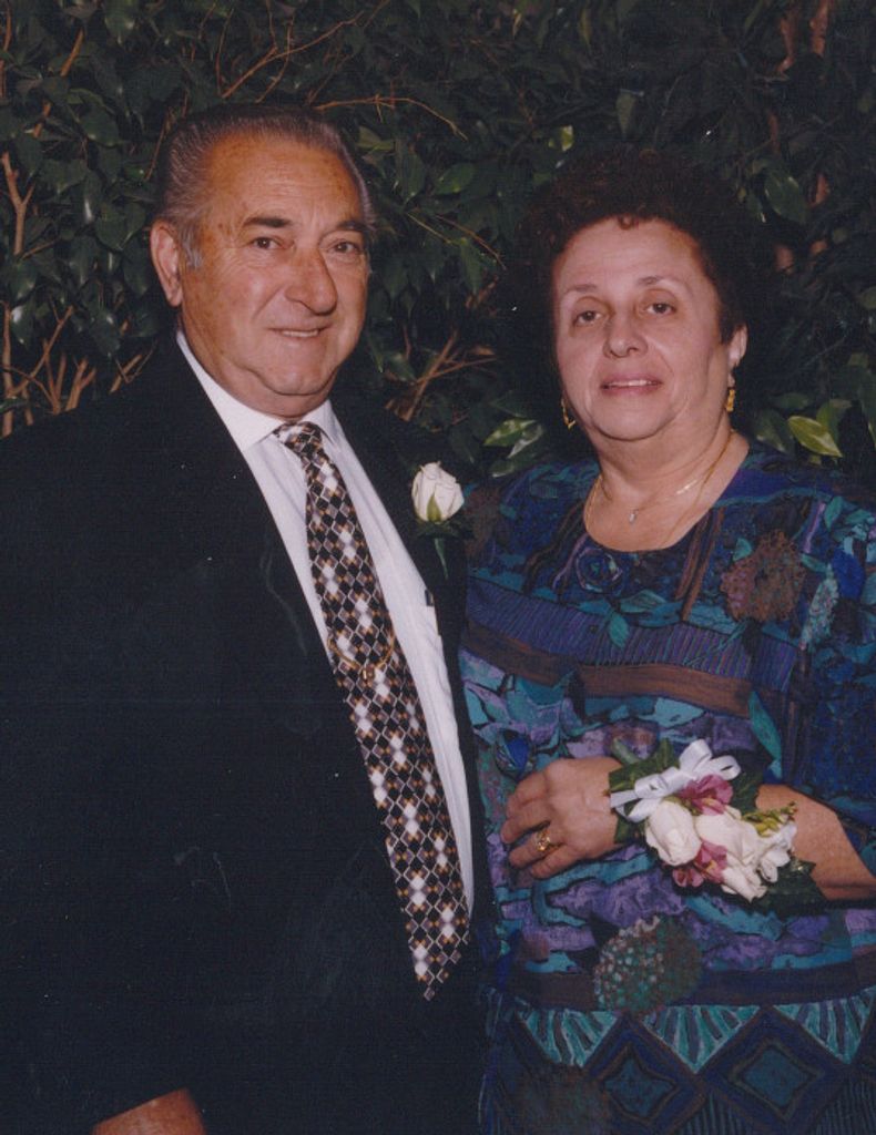 Vera N. Rovini