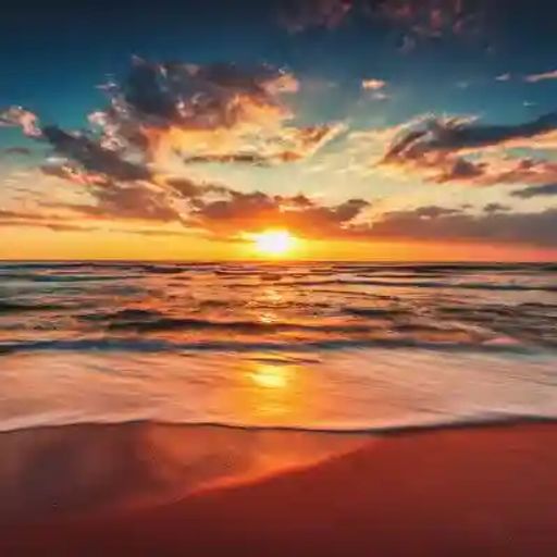 Dan Williams Profile Photo