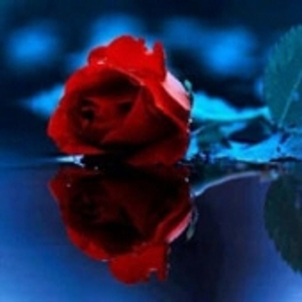 Suzan Rebecca Beaver