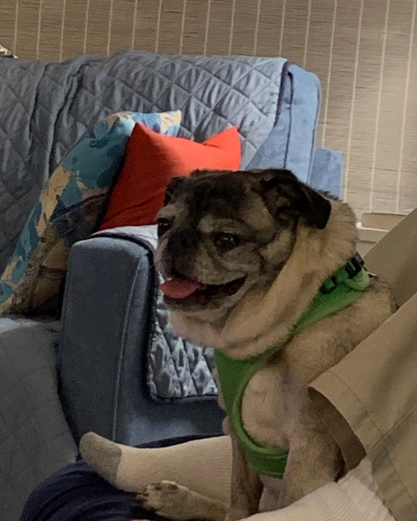 Albus "Albie" Grumblesnort