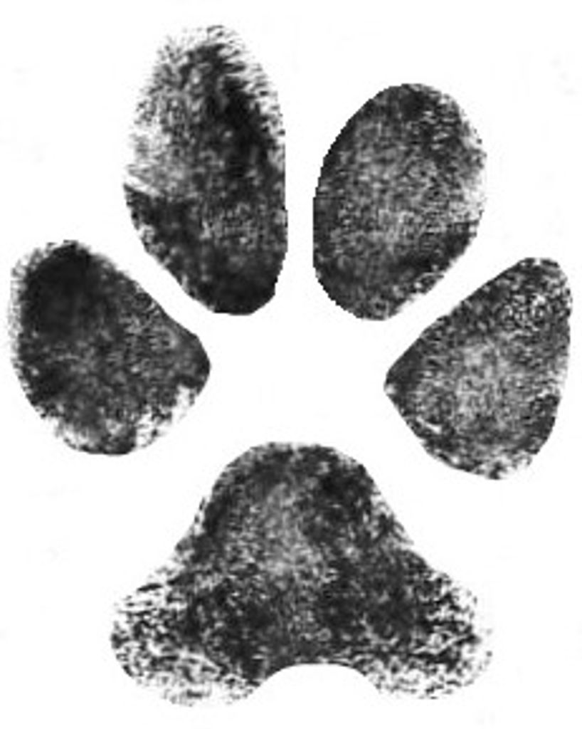 Kia Stanley Profile Photo