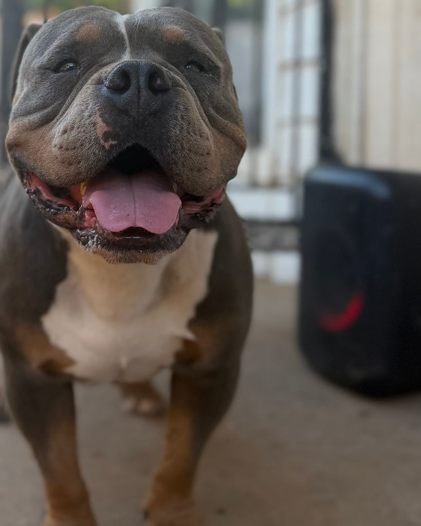 Pac Ramirez Profile Photo