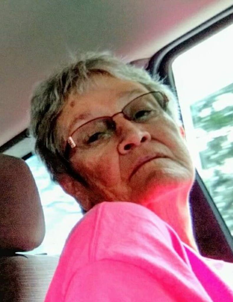 Dianne T. (Stecher) Dorsey Profile Photo