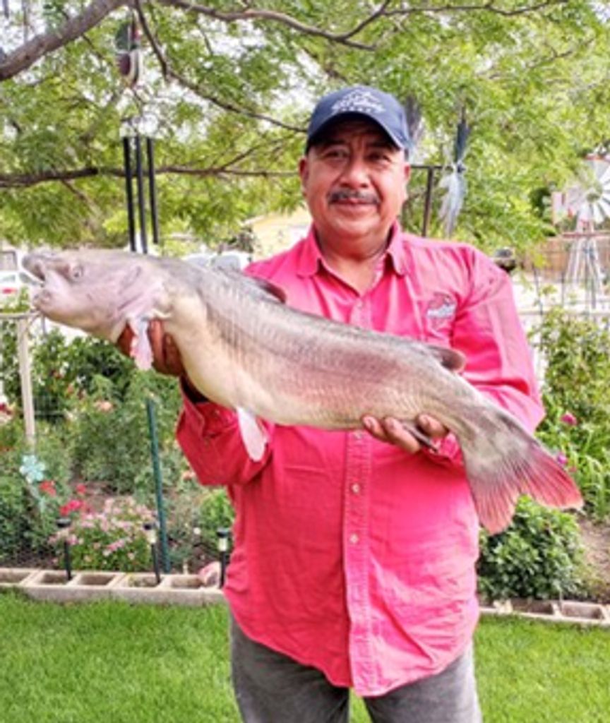 Felipe De Jesus Zamudio Carbajal