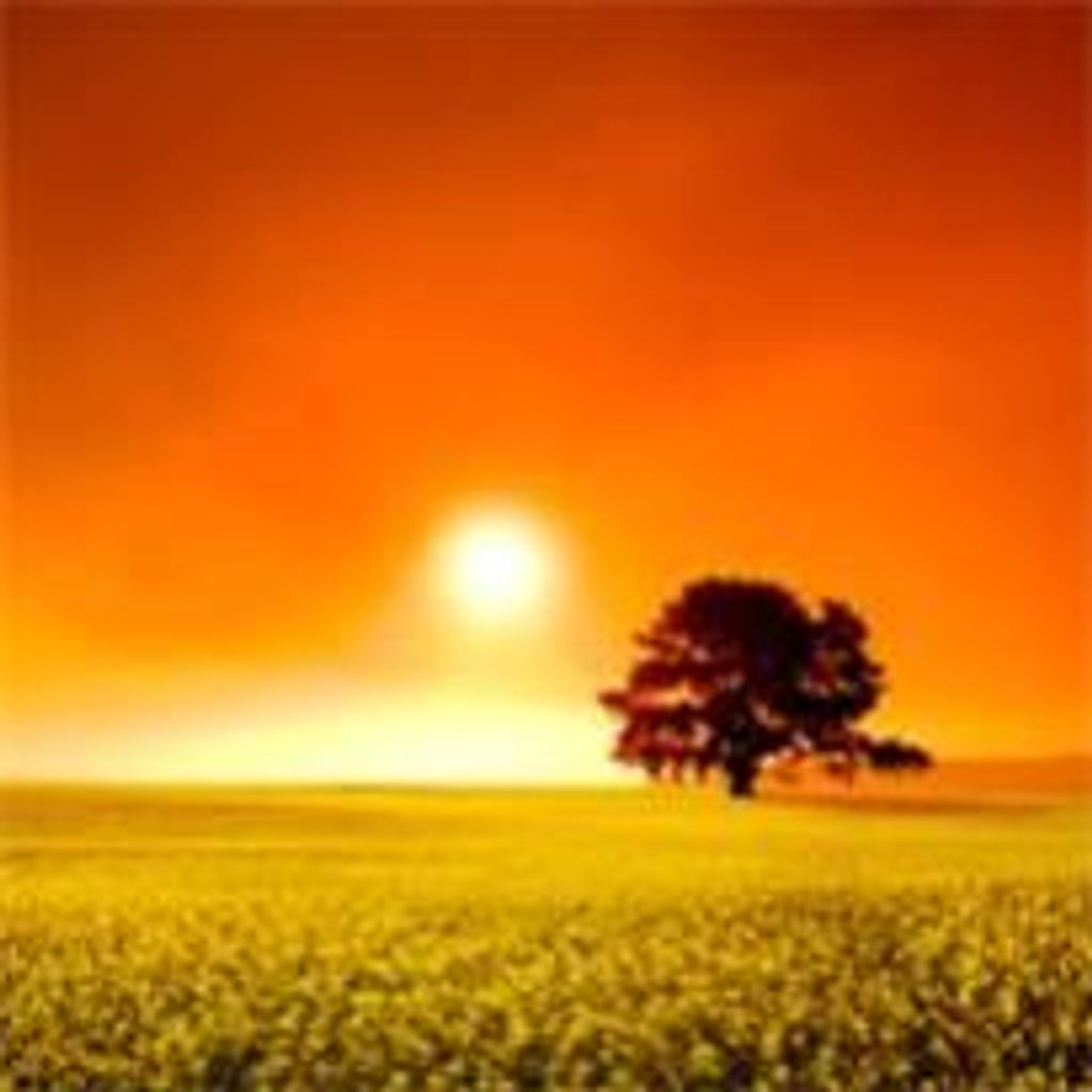 Charles Szabo Profile Photo