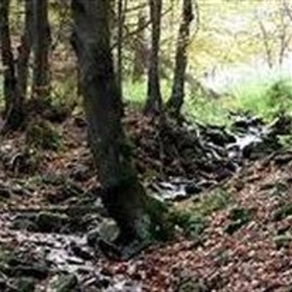 Andrew  Tazewell Baird Profile Photo