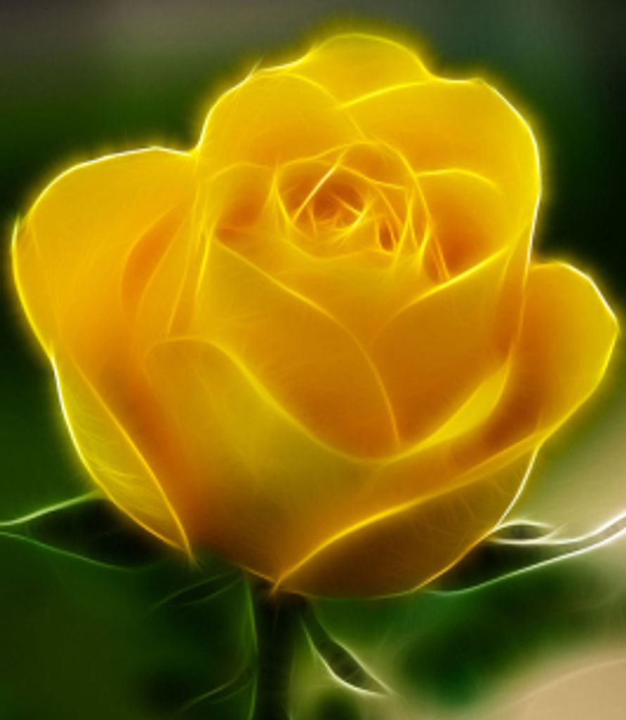 Sherry-Ann Poitras Profile Photo