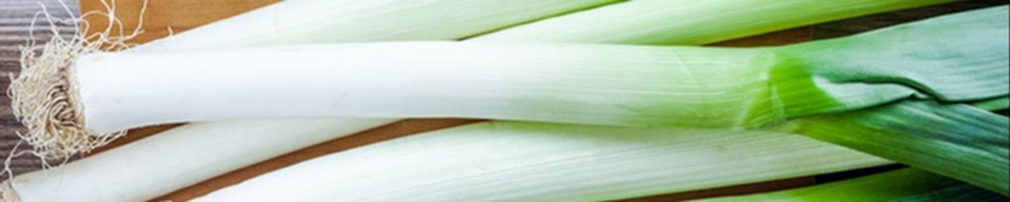 Cover for Robert W. "Dobro Bob" NORTON's Obituary