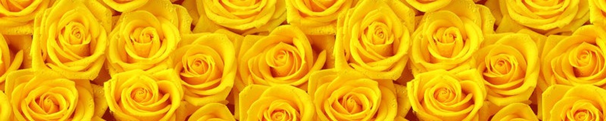 Cover for Darlene K. Marcotte's Obituary