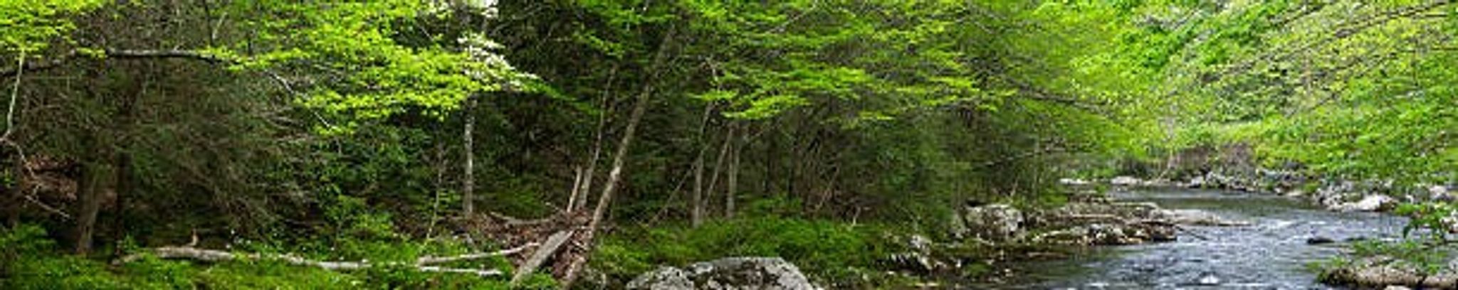 Cover for Carroll Dewayne Franks's Obituary