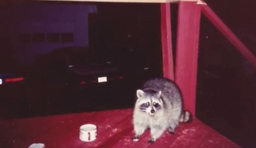 David Sluka photo gallery thumbnail 32 of 53