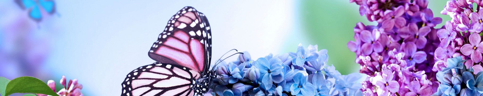 Cover photo for Bettie LaRue Staley Martin's Obituary