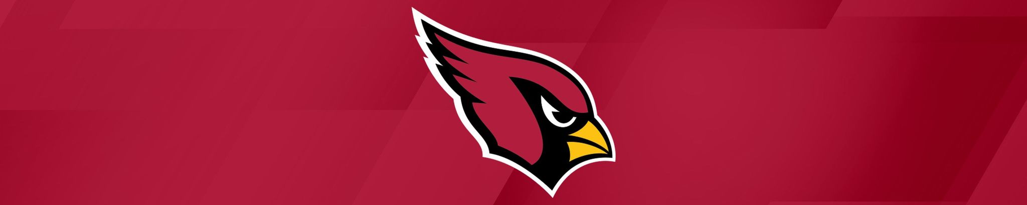 Cover for Virginia Betty Ann Curtis's Obituary