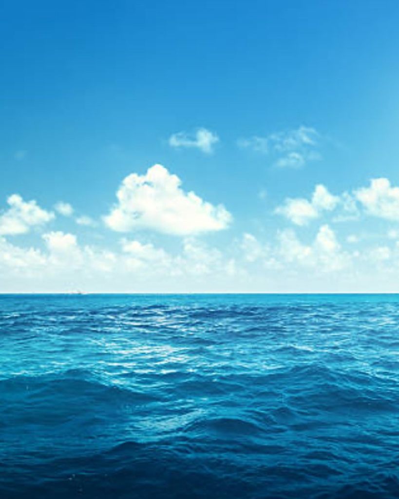 Carlos Manuel Felix Profile Photo