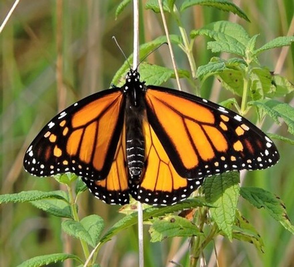 William E. Dahms Profile Photo