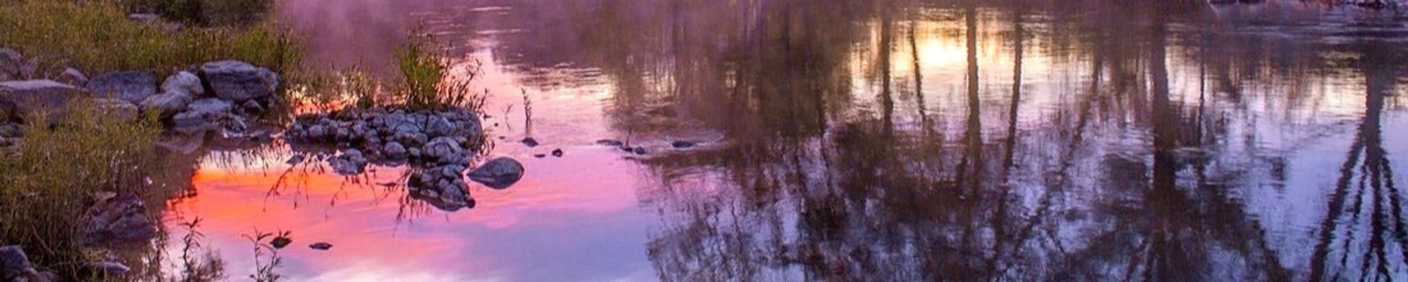 Cover photo for Sharon Lynnette McInnis's Obituary