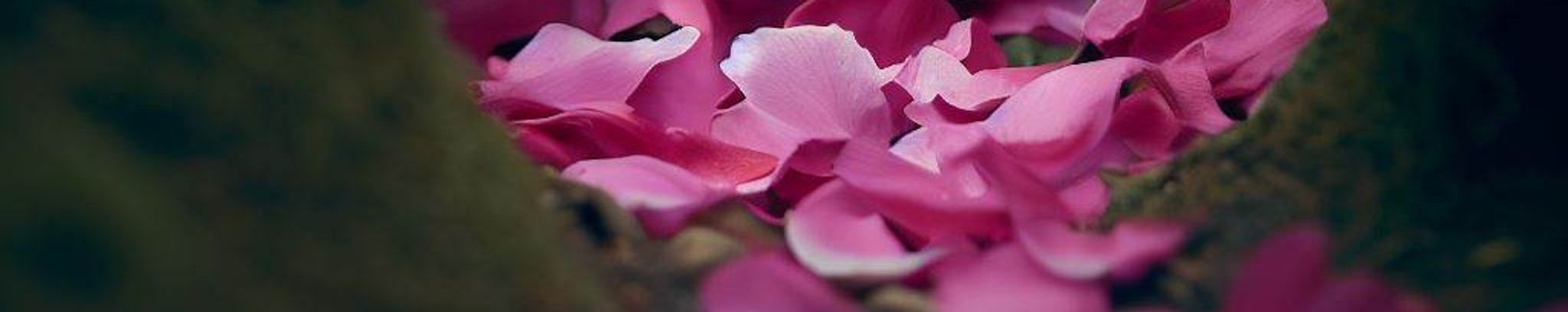 Cover photo for Mabel's Obituary