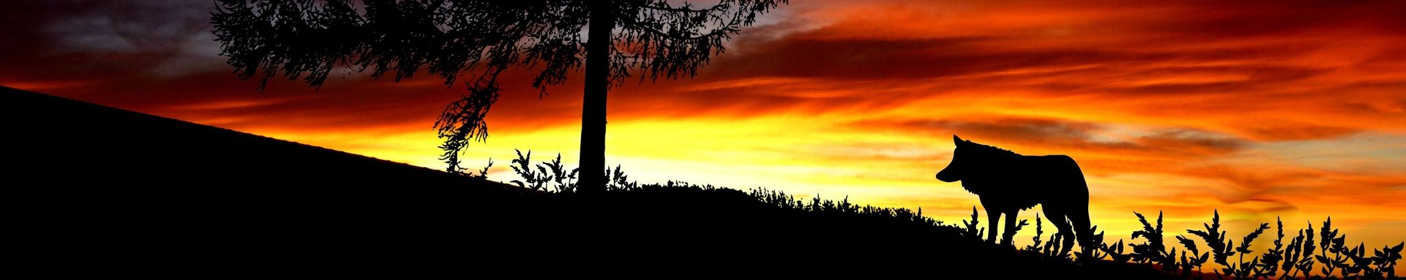 Cover photo for Margaret Jean (Mason) Kump's Obituary