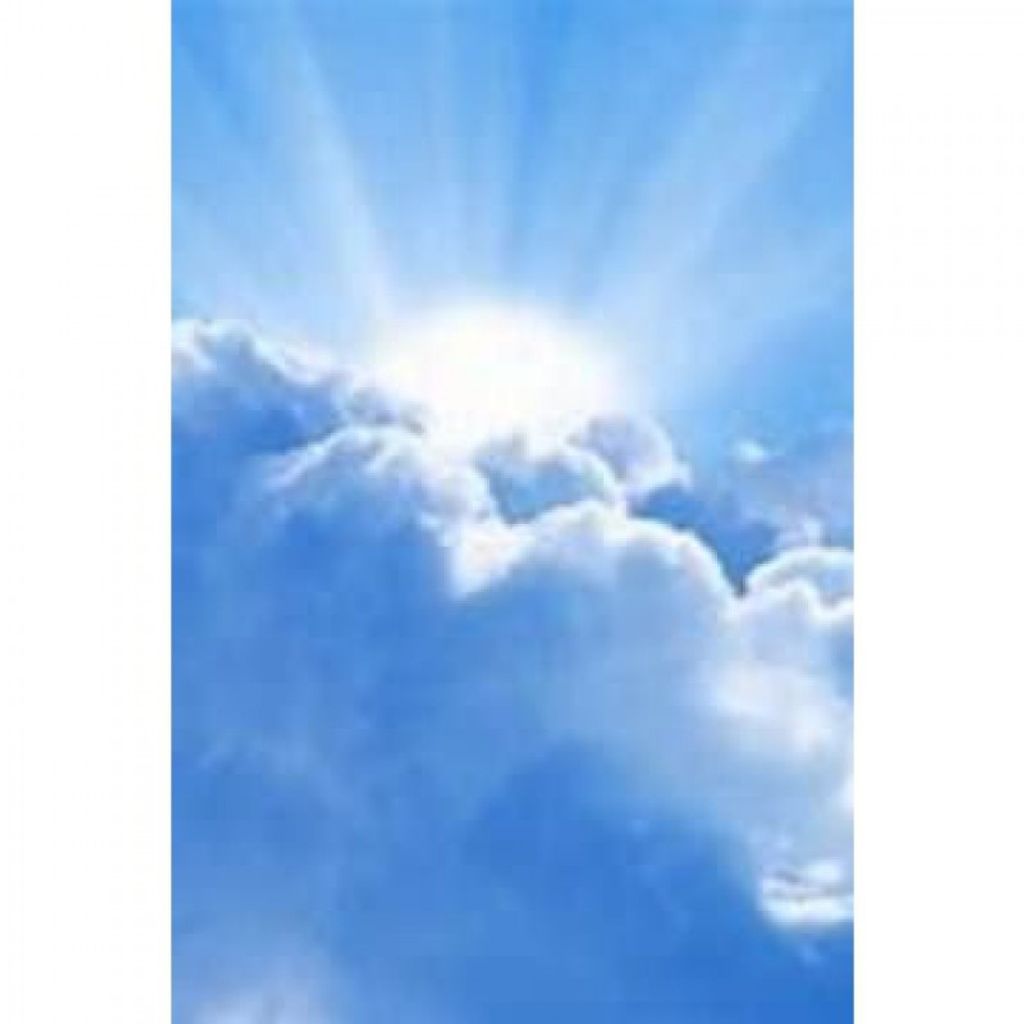 Carl Eugene Trump Profile Photo