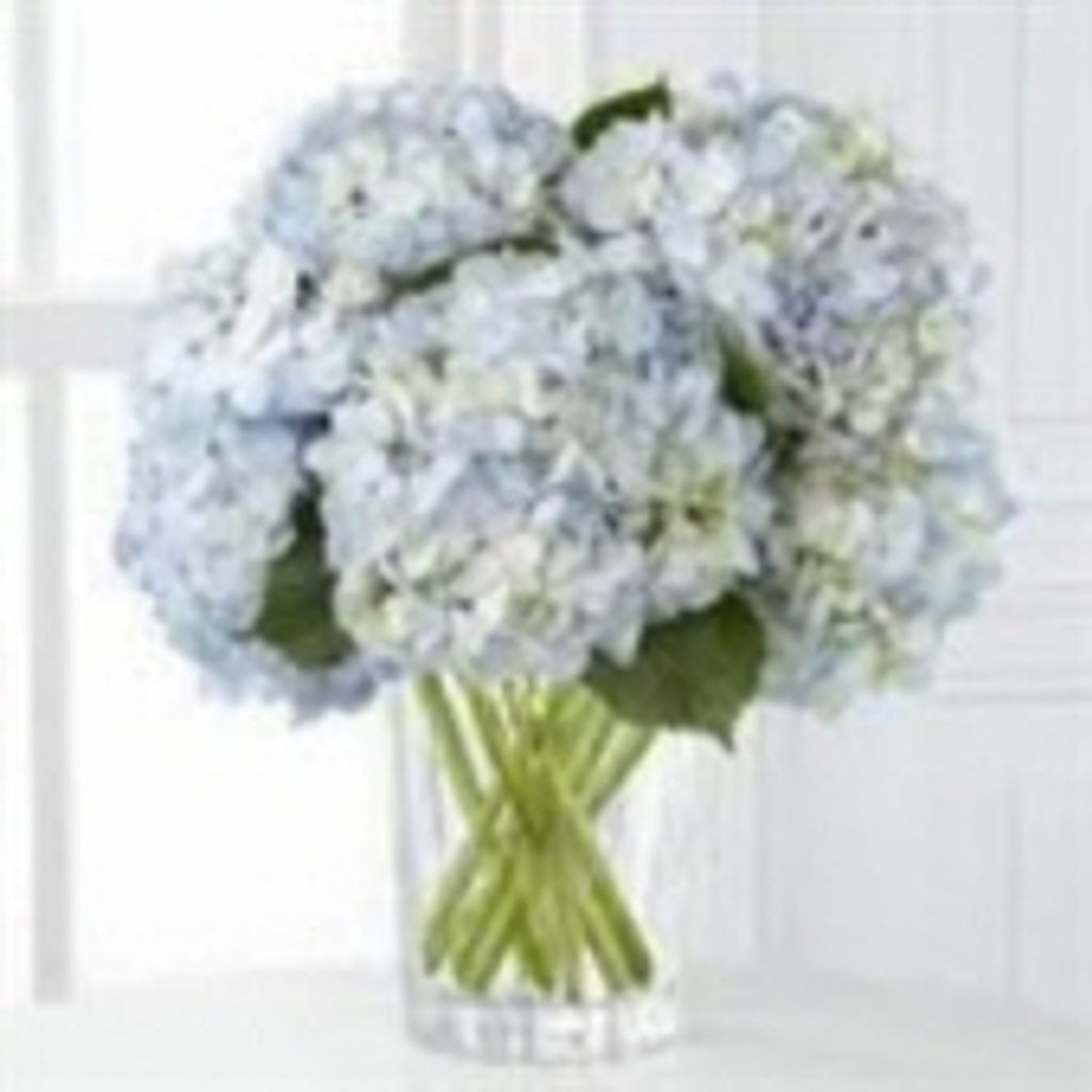 Terri Rochelle Brewer