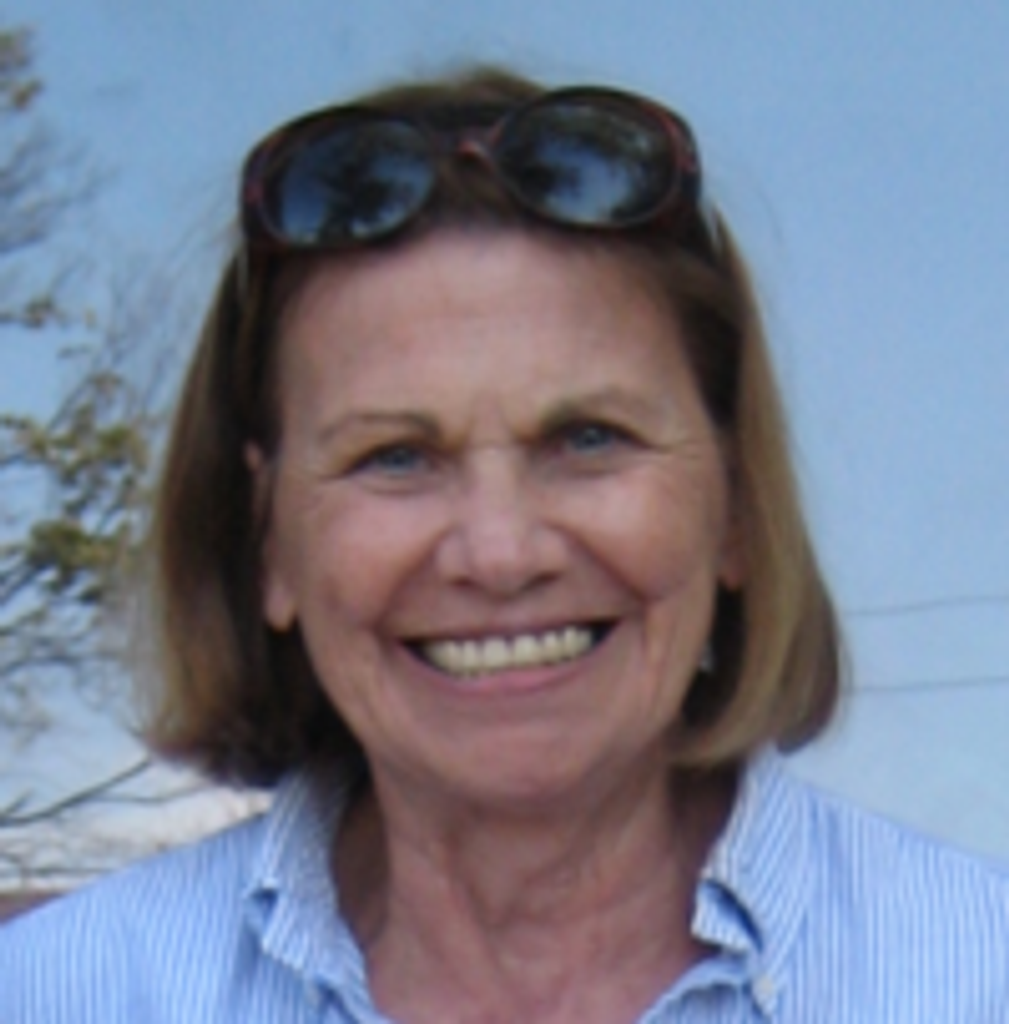 Melissa H. (Hill)  Johnston