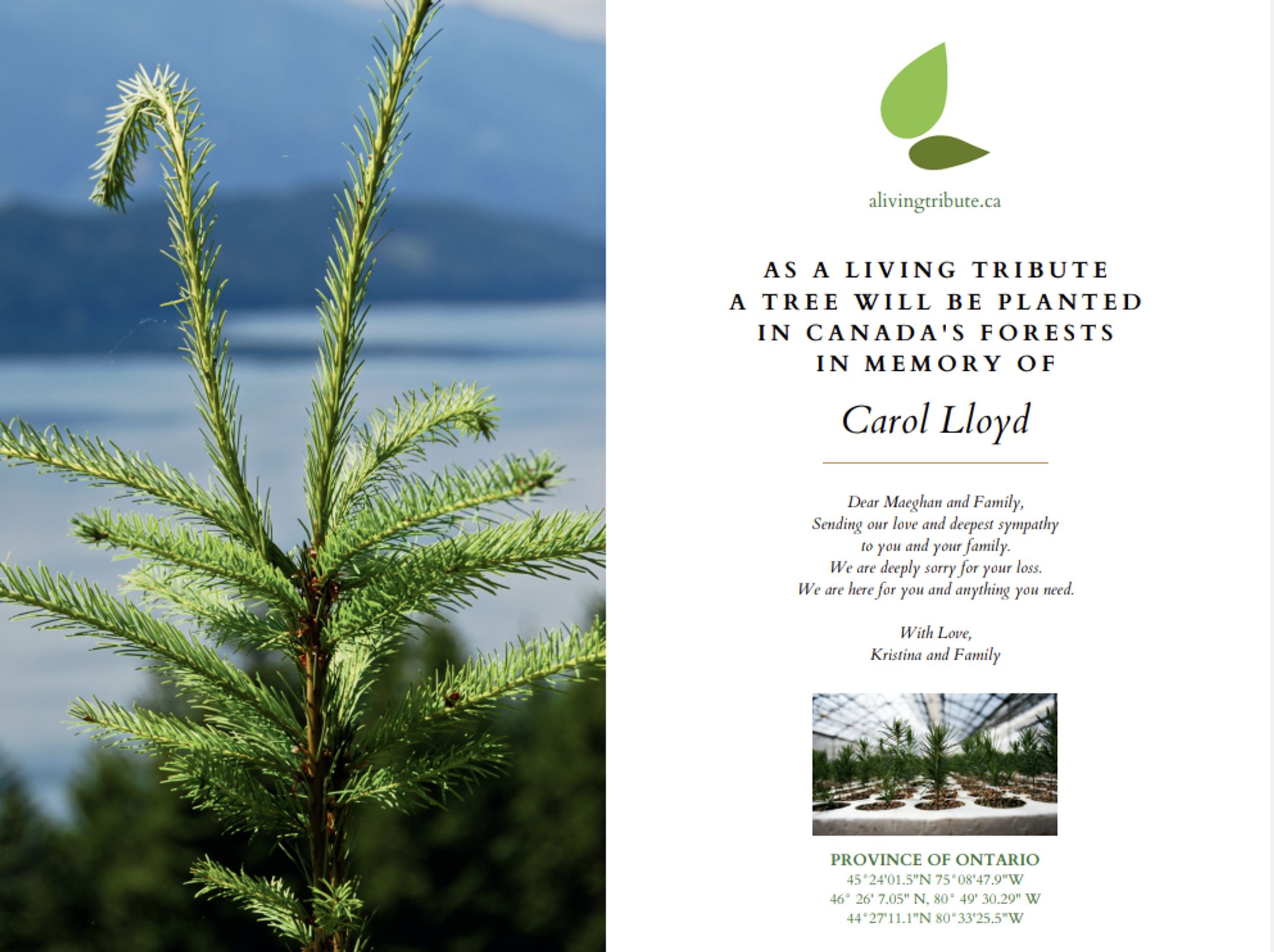 Carol Lloyd Obituary Apr 23, 2024 - Ward Funeral Homes