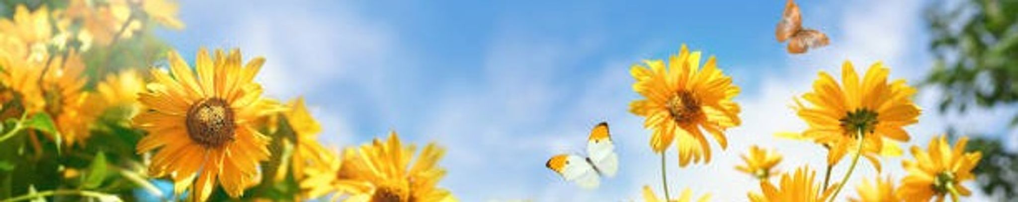 Cover photo for Leanna Florez's Obituary