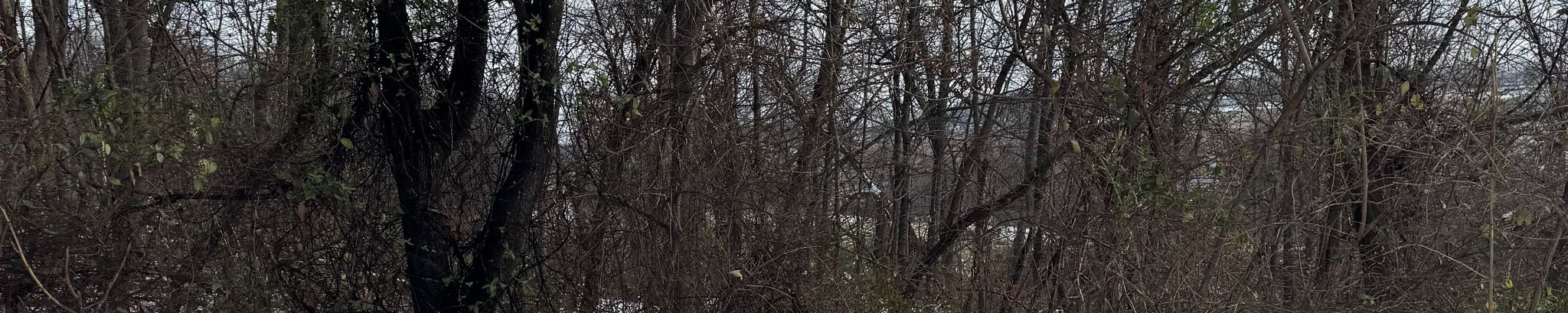 Cover for Donald William Swope's Obituary