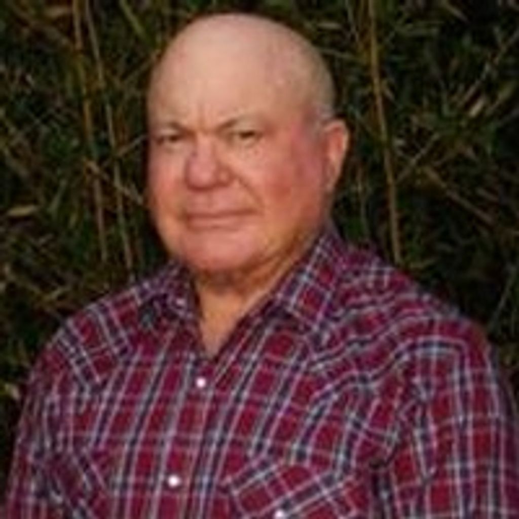 David Hill