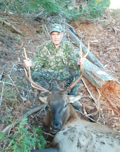 Dennis Tesky Profile Photo