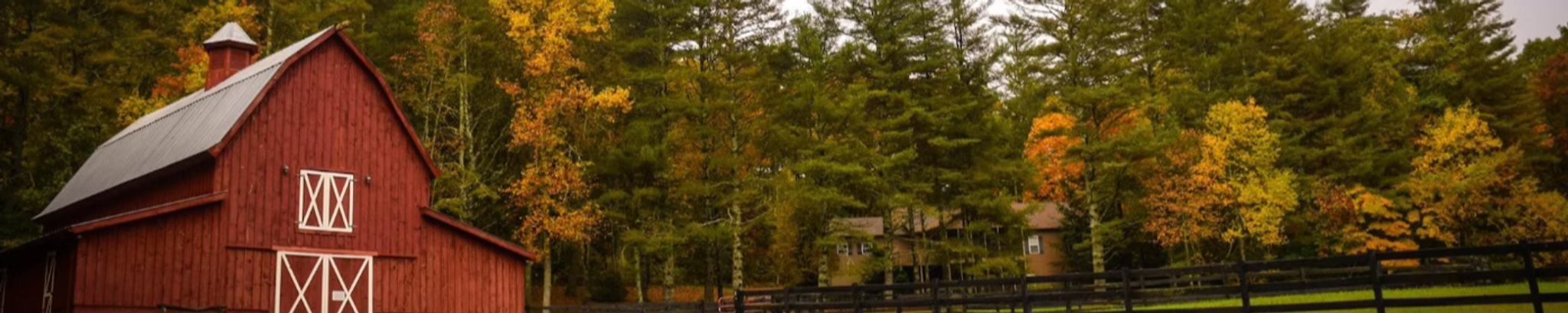 Cover photo for Jill Elaine Champoux's Obituary