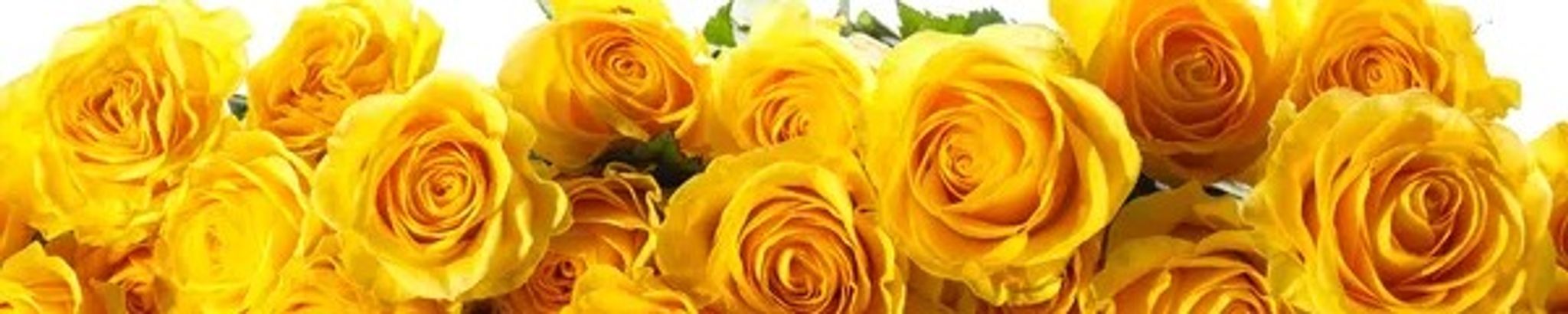 Cover for Barbara Price's Obituary