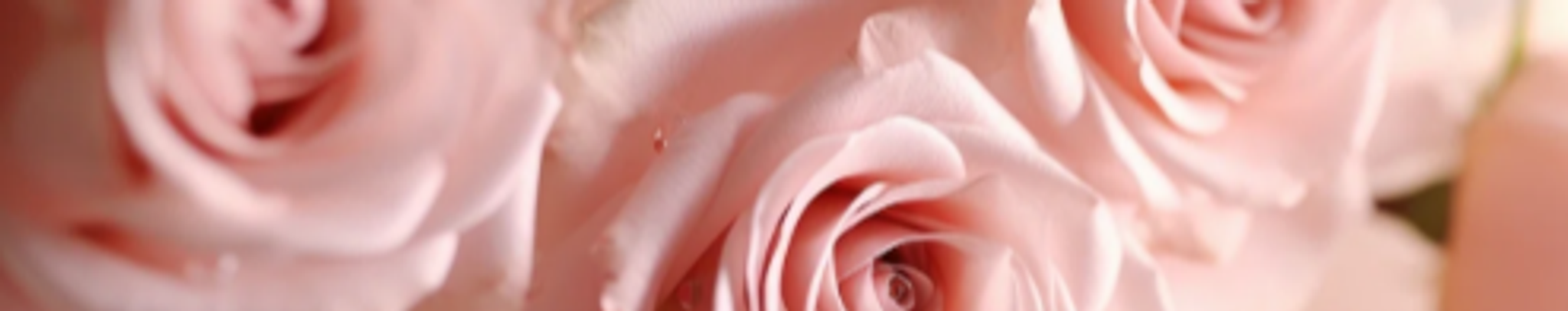 Cover photo for Beverly Louise Hale's Obituary
