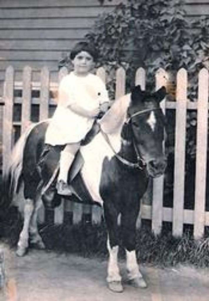 Anne D'Elia