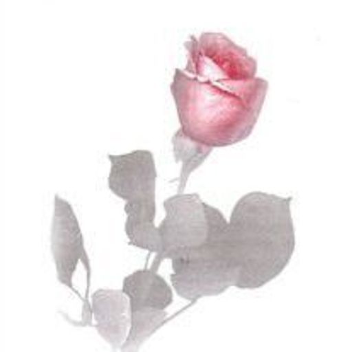 Mabel Rogers Profile Photo