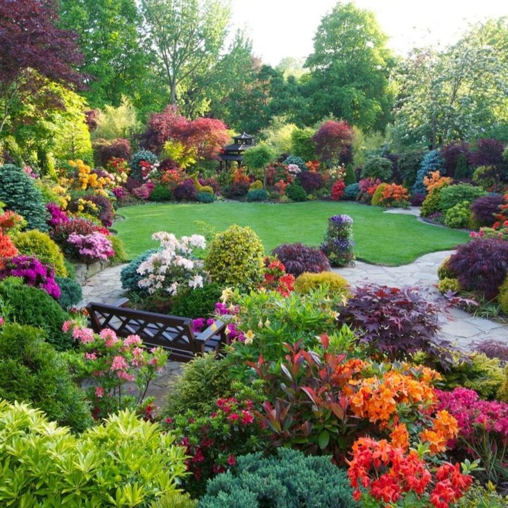 Clara Davis Profile Photo