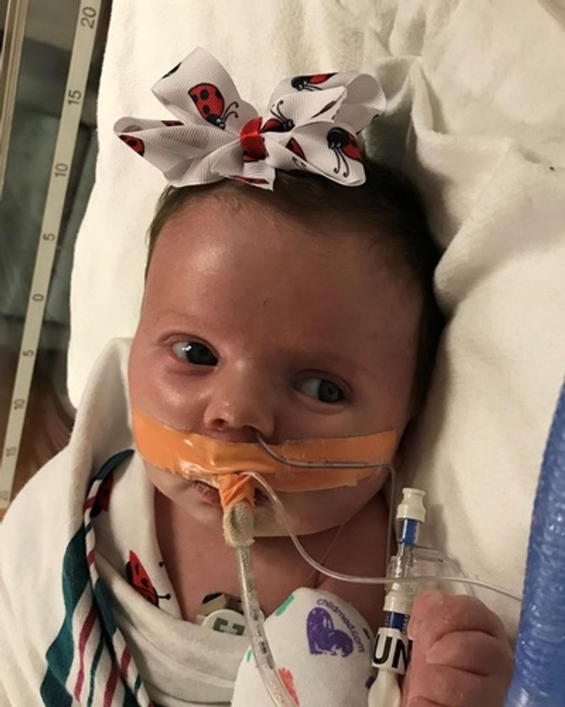 Layla Rayne Wheetley