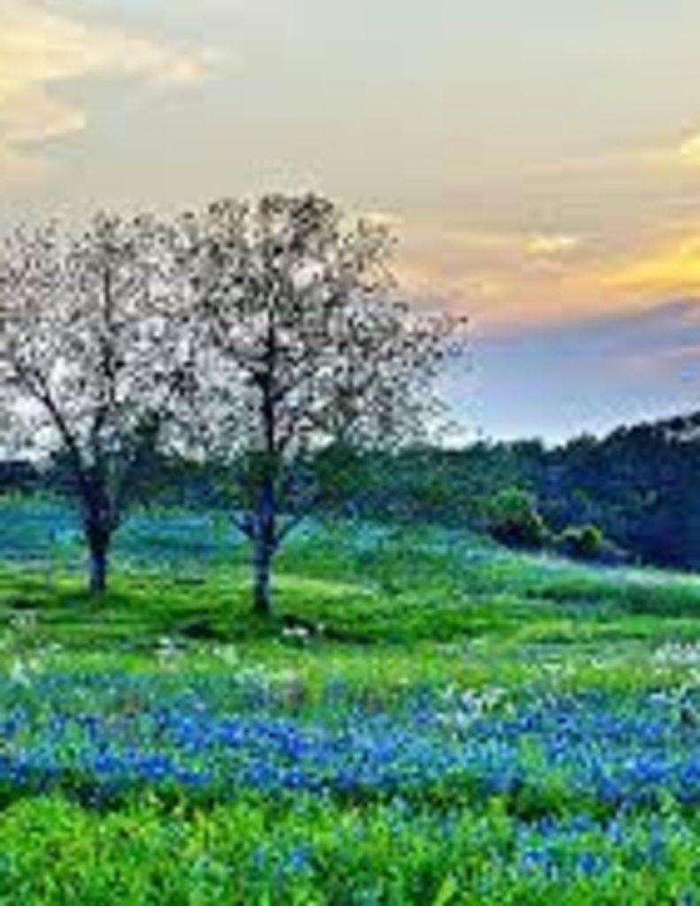 Leon Allen Deloach, Jr.